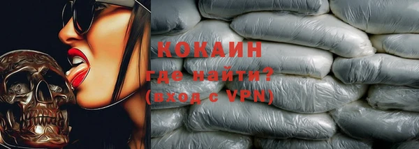 сатива Аркадак