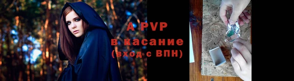 шишки Балахна