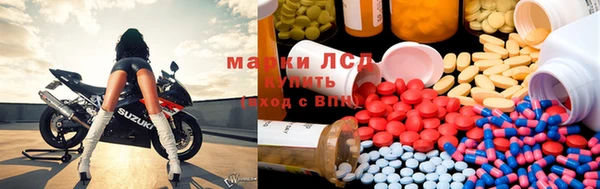 сатива Аркадак